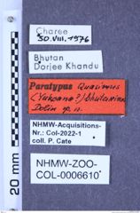 Etiketten zu Quasimus bhutanicus (Dolin, 1993) (NHMW-ZOO-COL-0006610)